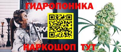 Альфа ПВП Янаул