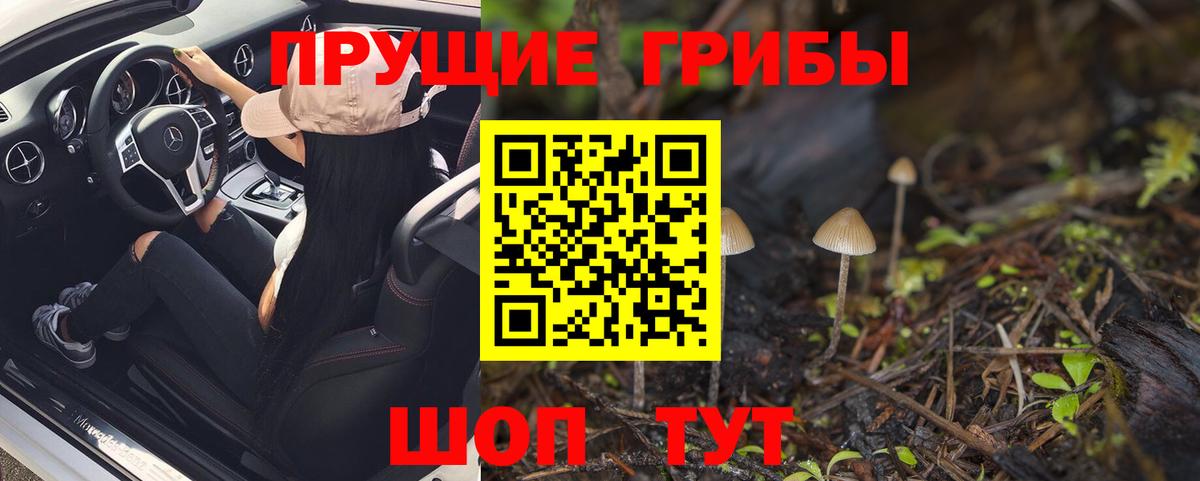 Псилоцибиновые грибы прущие грибы  Вход с VPN  Туймазы 