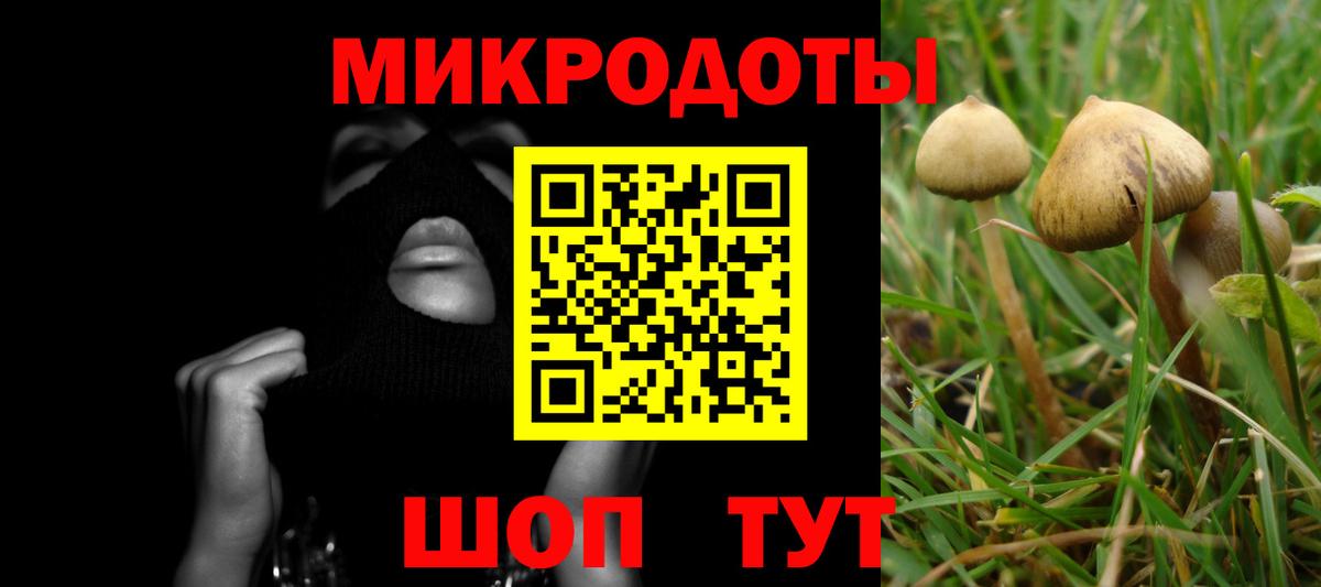 Псилоцибиновые грибы Cubensis Туймазы